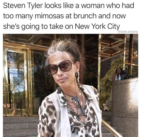 Steven tyler meme - Steven Tyler of Aerosmith performs at a concern in Los Angeles in 2014. The lawsuit alleges Tyler used his role, status, and power as a well-known musician and rock star to gain access to Misley ...